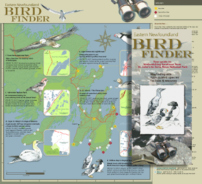 birdfinder